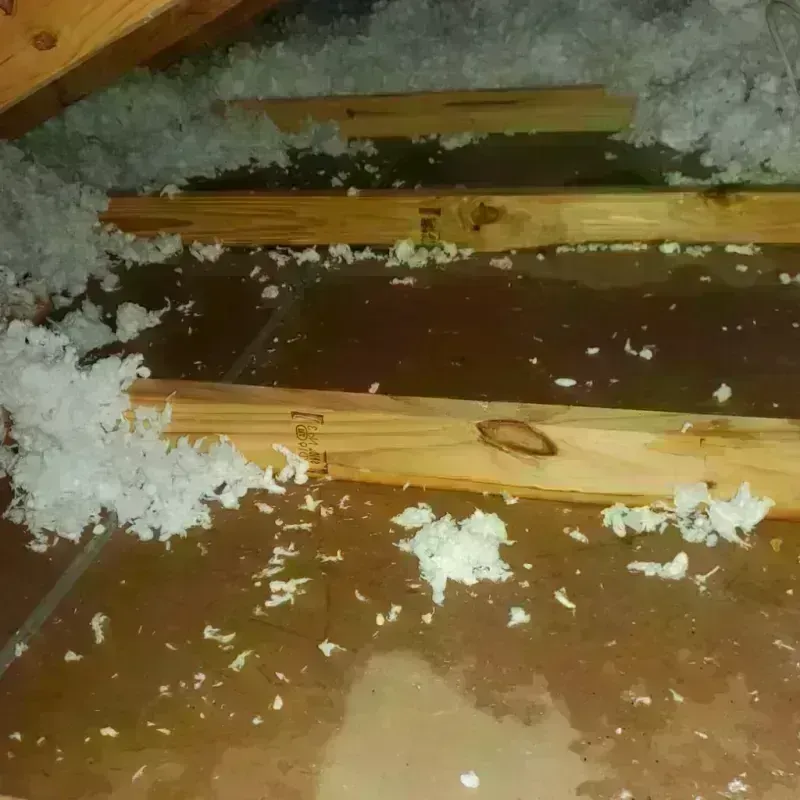 Attic Water Damage in Scranton, PA